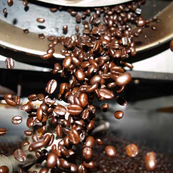 coffee roastera
